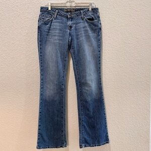 American Eagle Outfitters Blue Jeans Skinny Flare